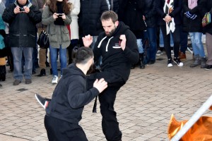 hunggarnancy-artsmartiaux-wushu-kungfu-nouvelanchinois-28janvier2017-31